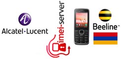Разлочка Alcatel 2005X ArmenTel CJSC (Beeline) Armenia